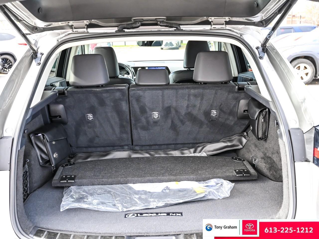 2022 Lexus NX 250 Photo