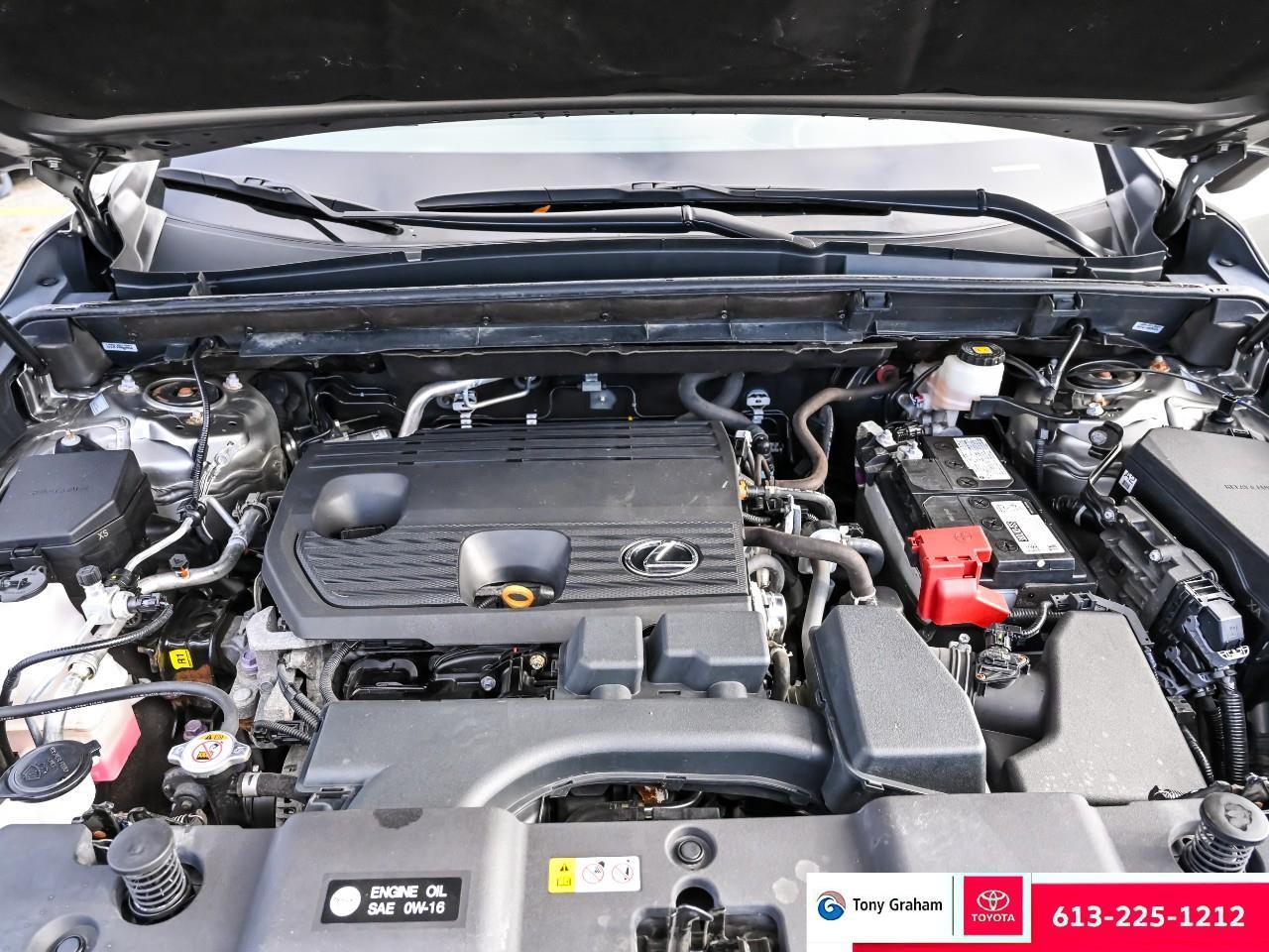 2022 Lexus NX 250 Photo