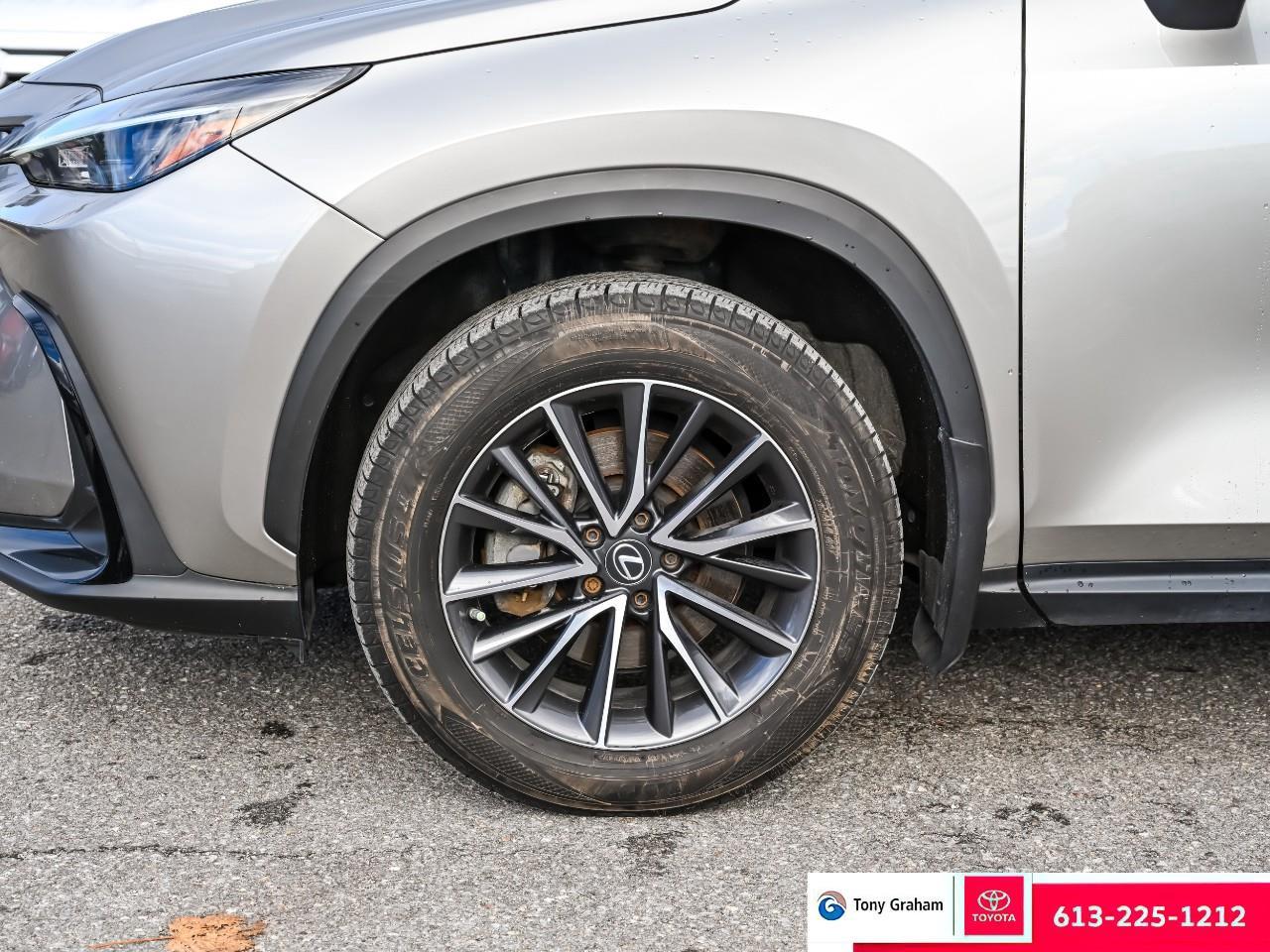 2022 Lexus NX 250 Photo