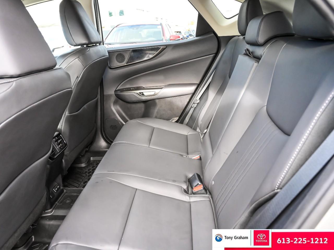 2022 Lexus NX 250 Photo