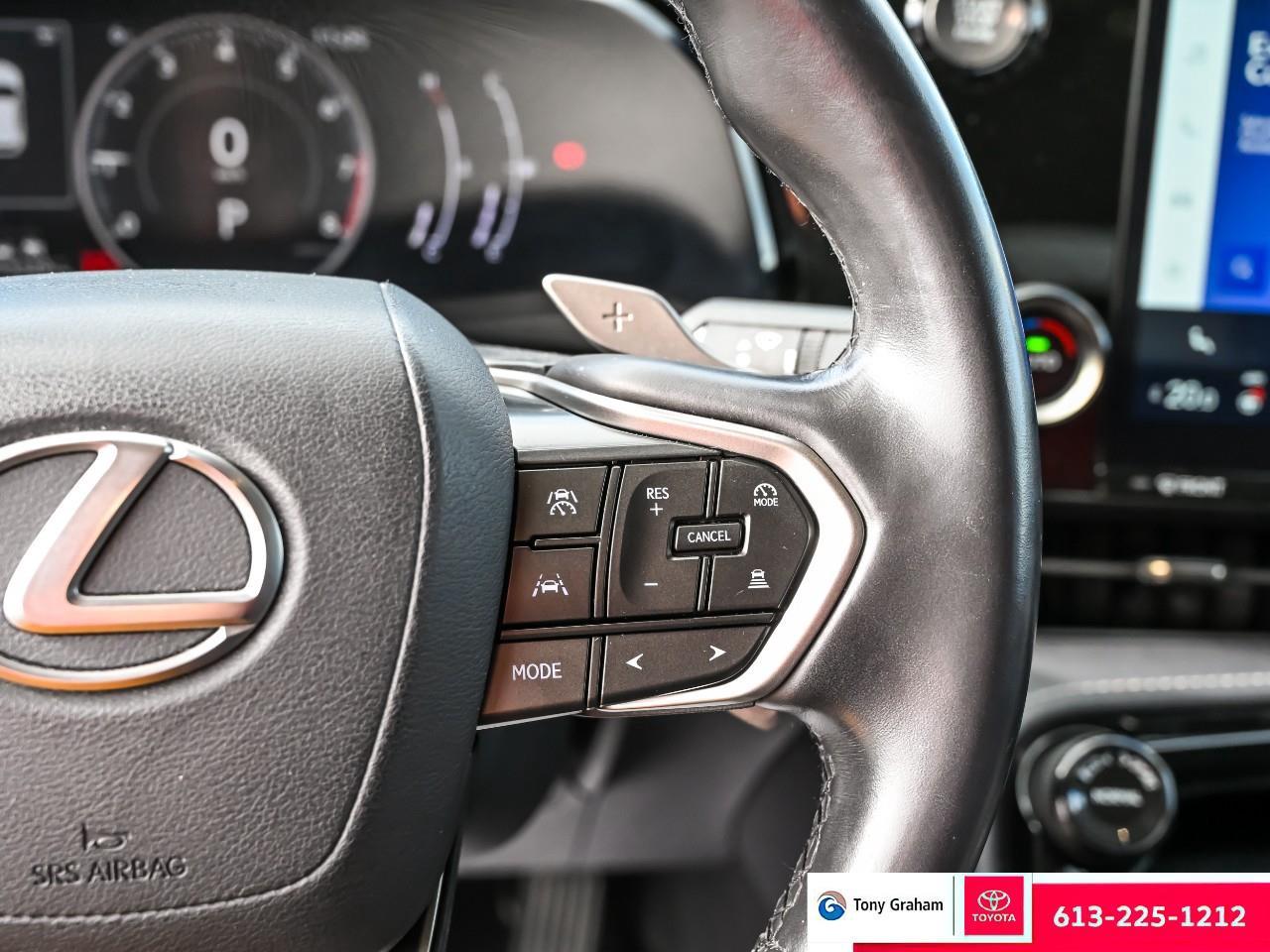 2022 Lexus NX 250 Photo