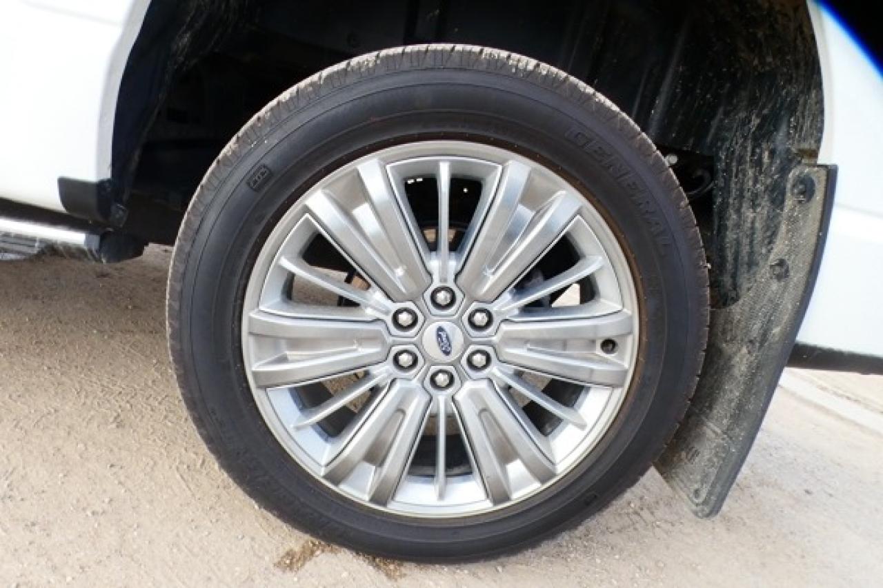 2024 Ford F-150 Platinum w/H&C L, pano S/R, NAV, BUC, PRB, HUD - Photo #23