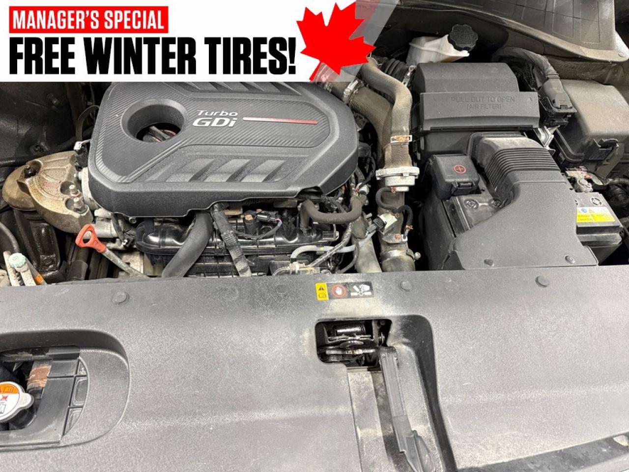 2016 Kia Sorento AWD 4dr 2.0L Turbo LX+ Photo