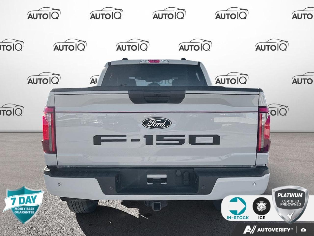 2024 Ford F-150 STX CREW CAB 4X4 ONE OWNER NO ACCIDENTS Photo4