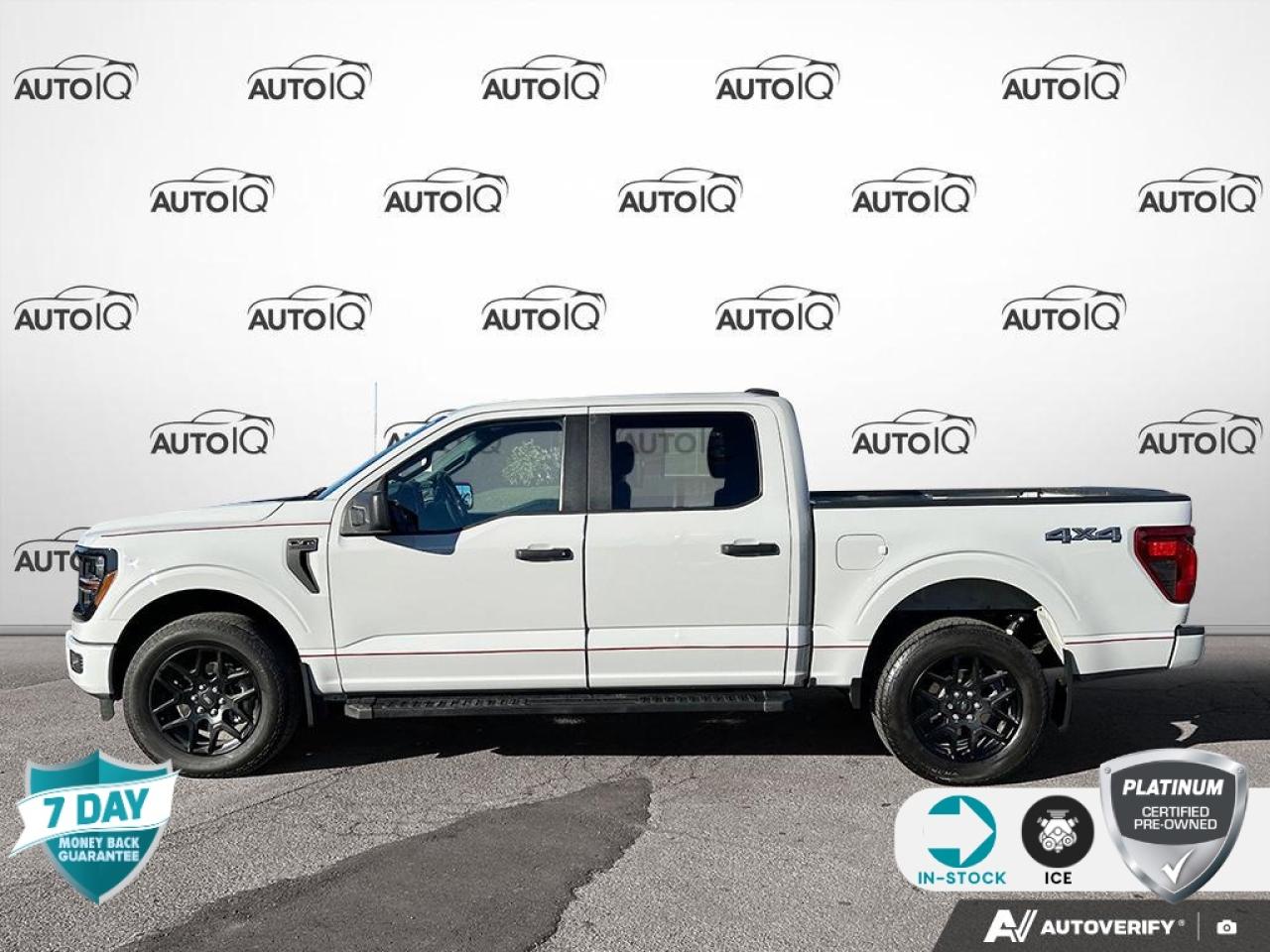 2024 Ford F-150 STX CREW CAB 4X4 ONE OWNER NO ACCIDENTS Photo
