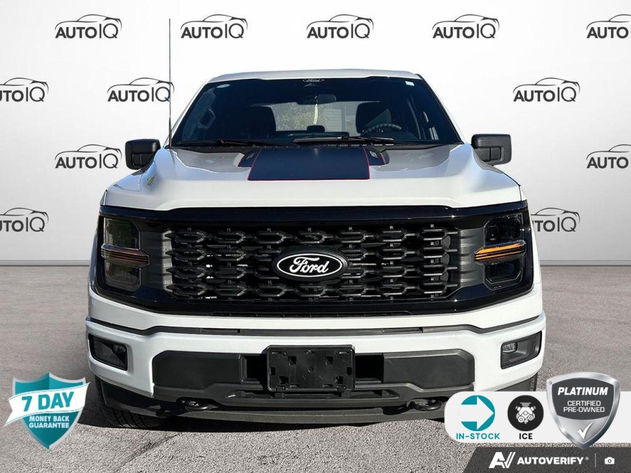 2024 Ford F-150 STX CREW CAB 4X4 ONE OWNER NO ACCIDENTS Photo