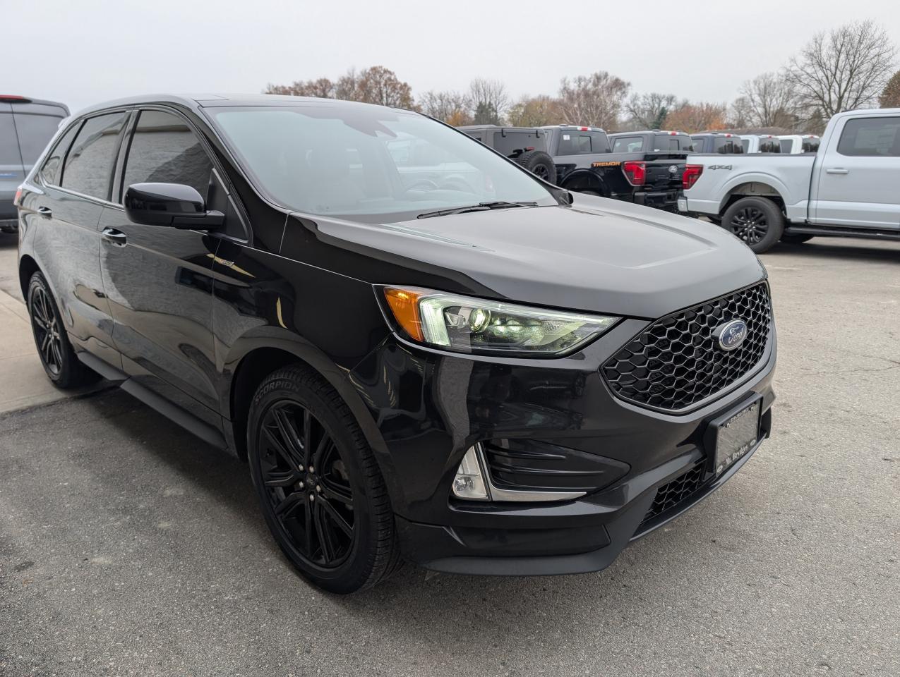 2021 Ford Edge ST Line Photo