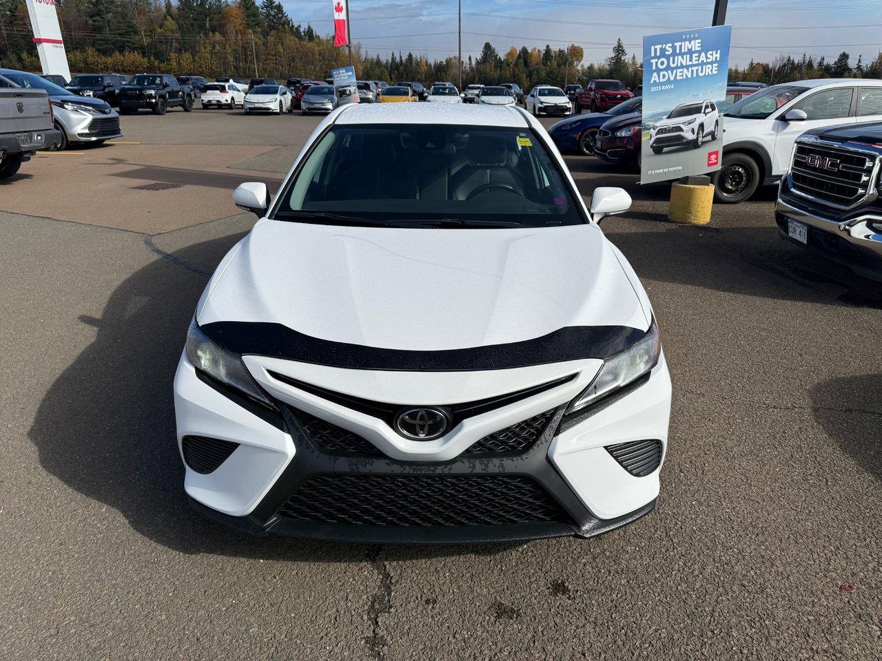 2019 Toyota Camry SE Photo1