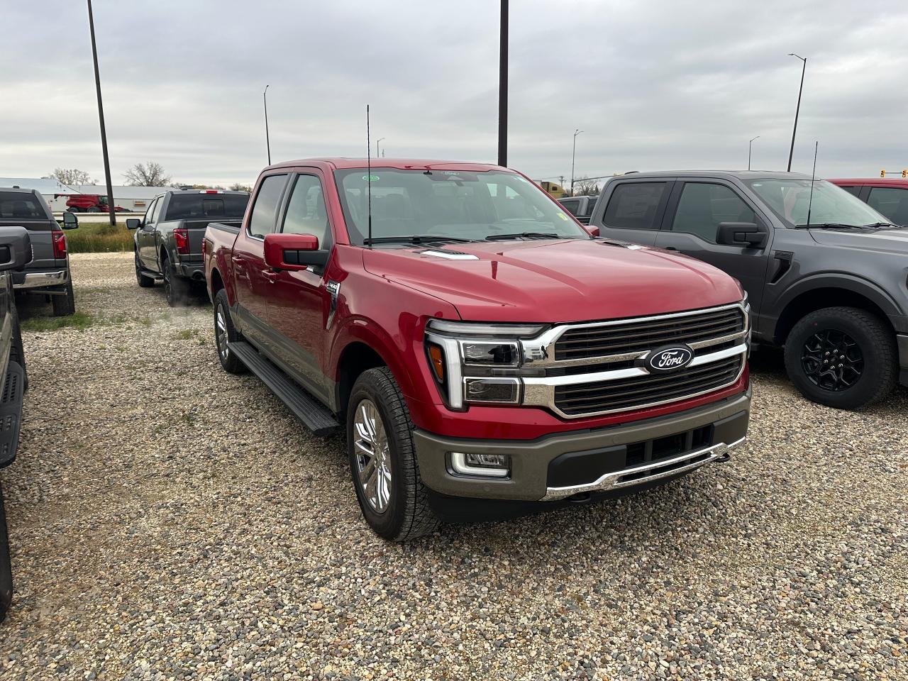 New 2025 Ford F-150 KING RANCH 4WD SUPERCREW 5.5' BOX for sale in Elie, MB