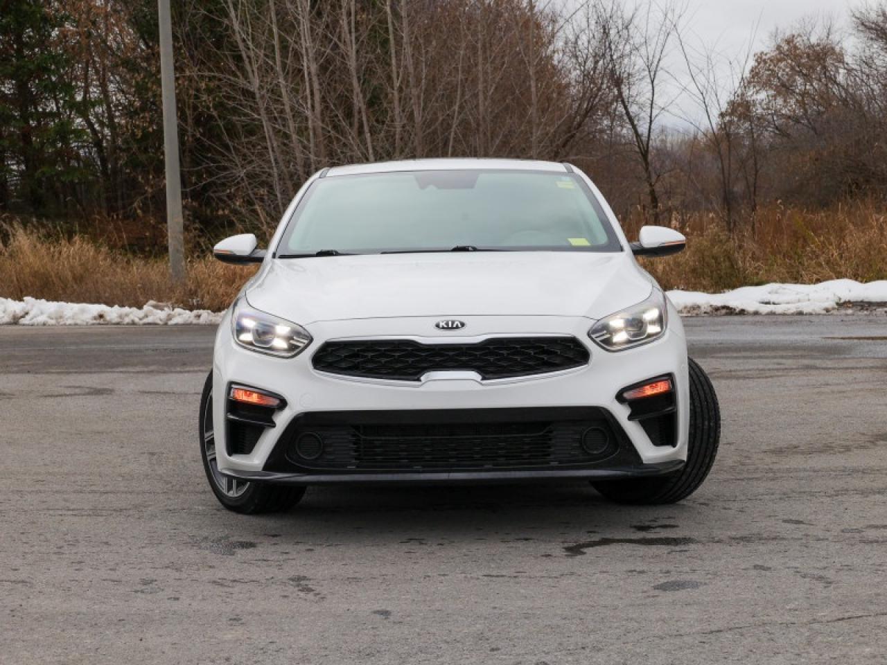 2019 Kia Forte EX IVT  - $172 B/W Photo