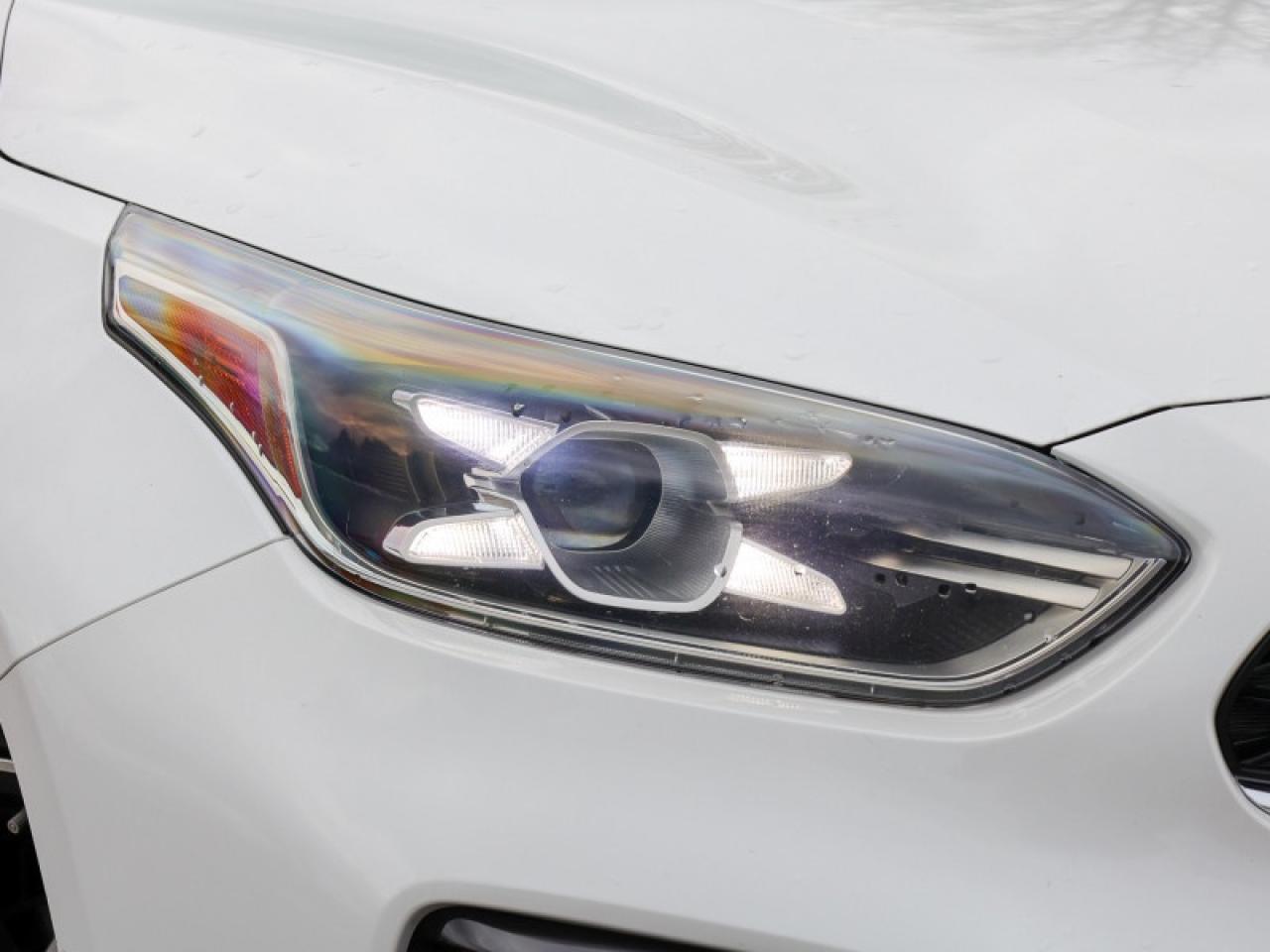 2019 Kia Forte EX IVT  - $172 B/W Photo