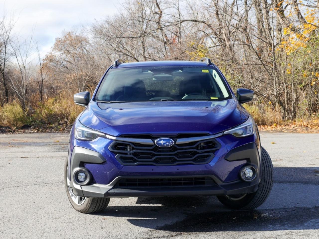 2024 Subaru XV Crosstrek Limited  - $250 B/W Photo4