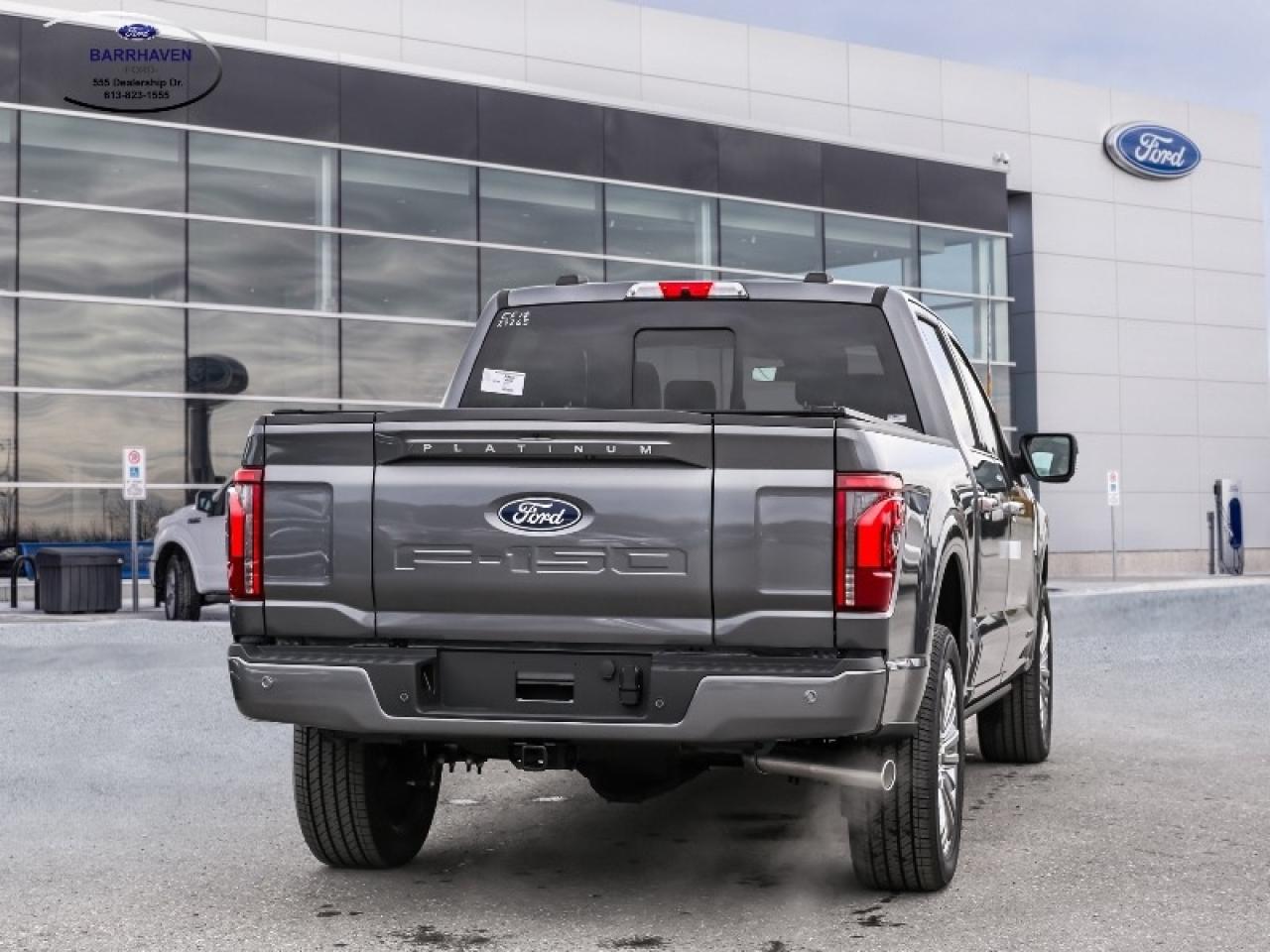 2025 Ford F-150 Platinum Photo2