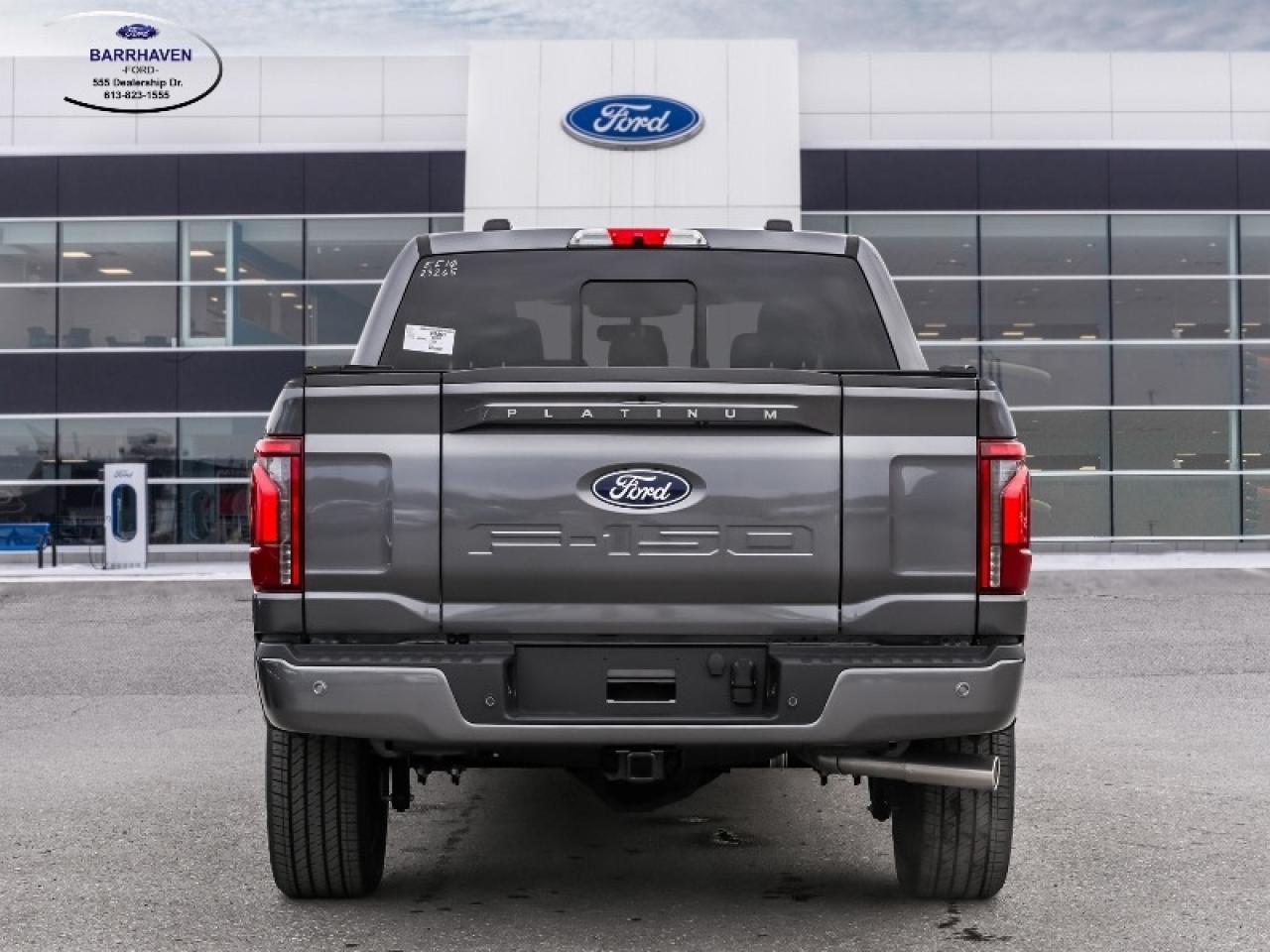 2025 Ford F-150 Platinum Photo3