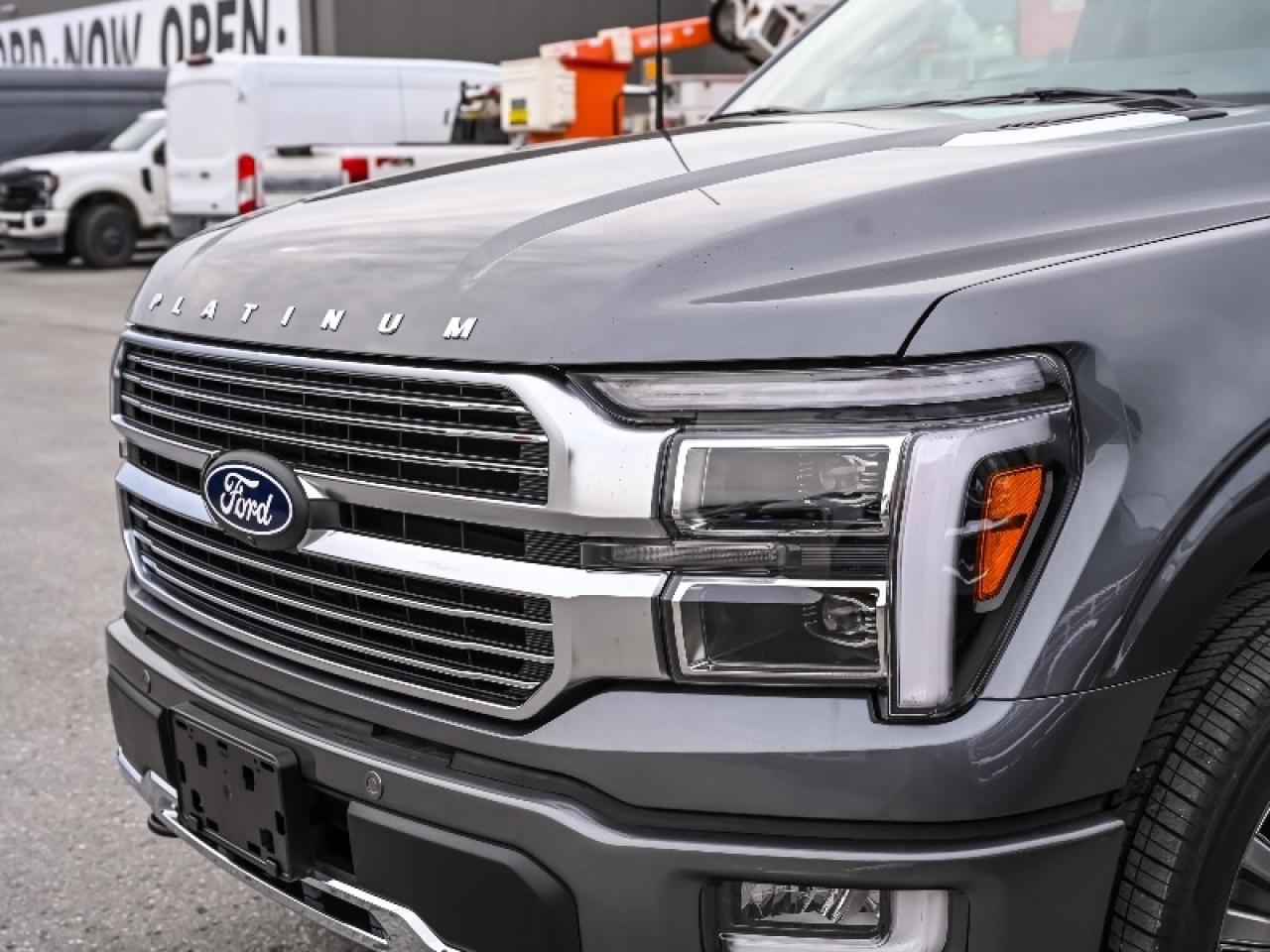 2025 Ford F-150 Platinum Photo