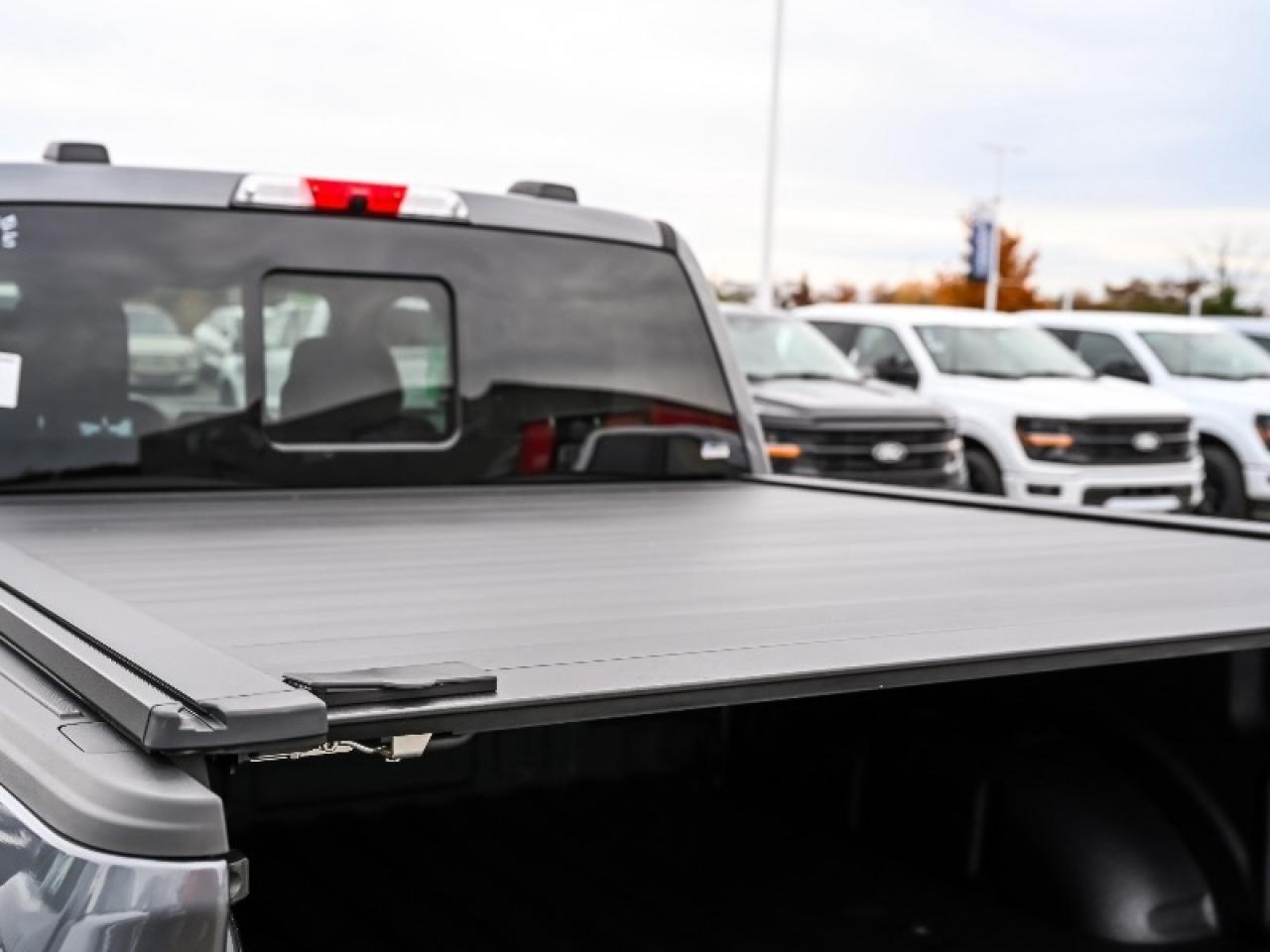 2025 Ford F-150 Platinum Photo