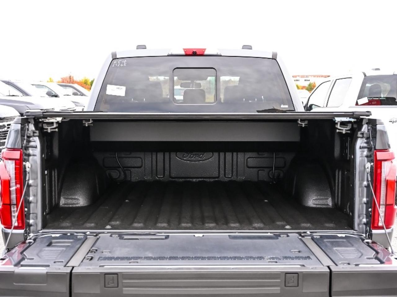 2025 Ford F-150 Platinum Photo