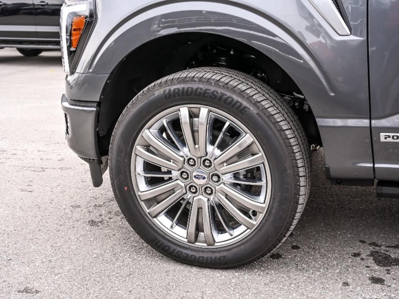 2025 Ford F-150 Platinum Photo