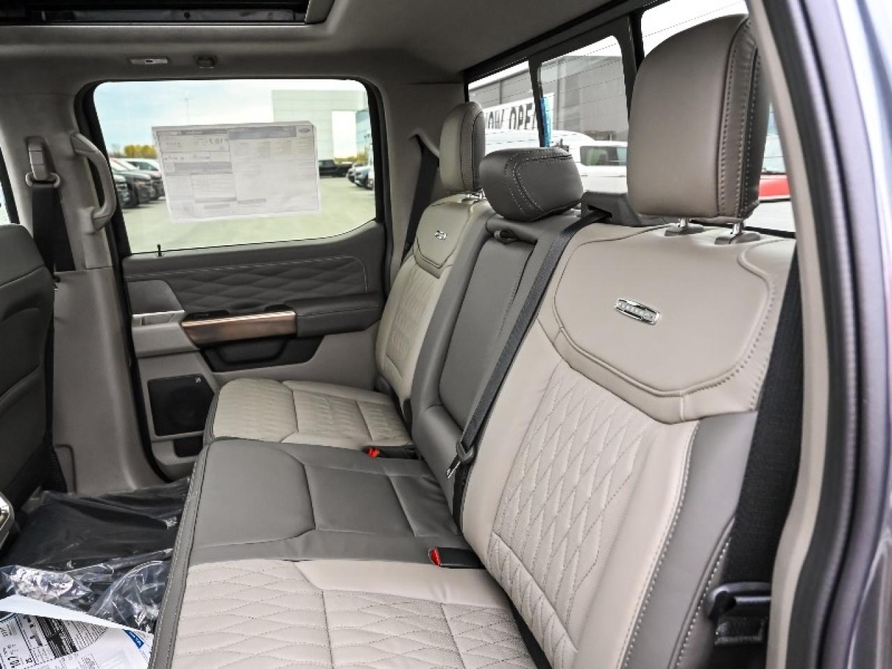 2025 Ford F-150 Platinum Photo