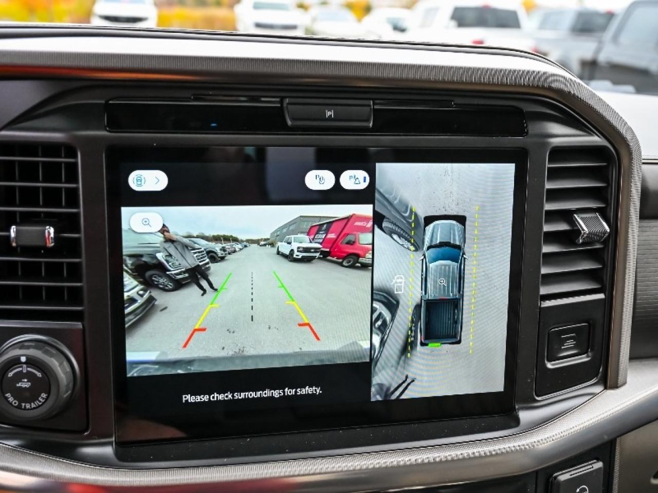 2025 Ford F-150 Platinum Photo