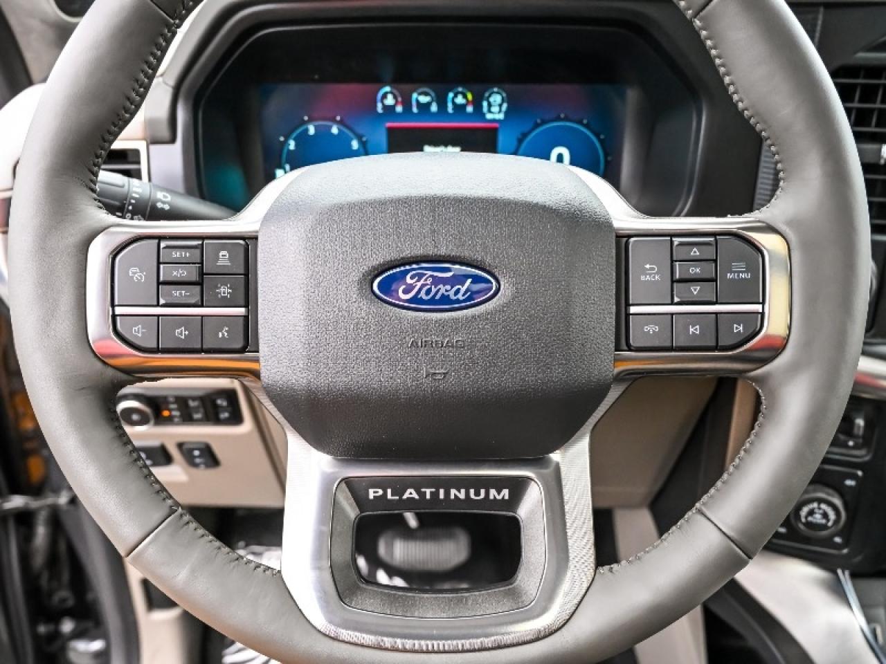 2025 Ford F-150 Platinum Photo