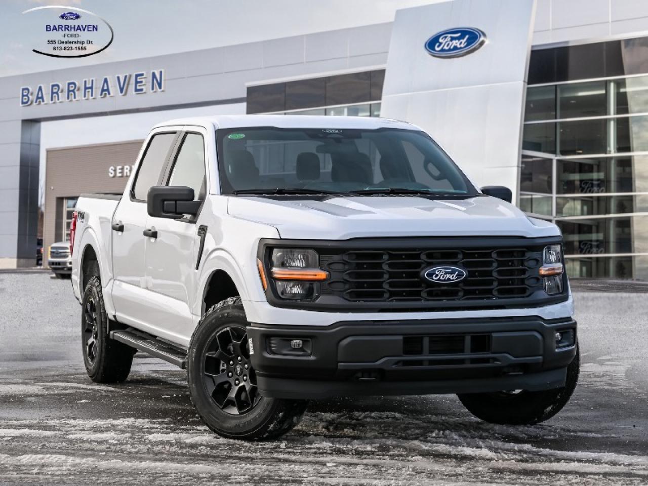 2025 Ford F-150 STX Photo0