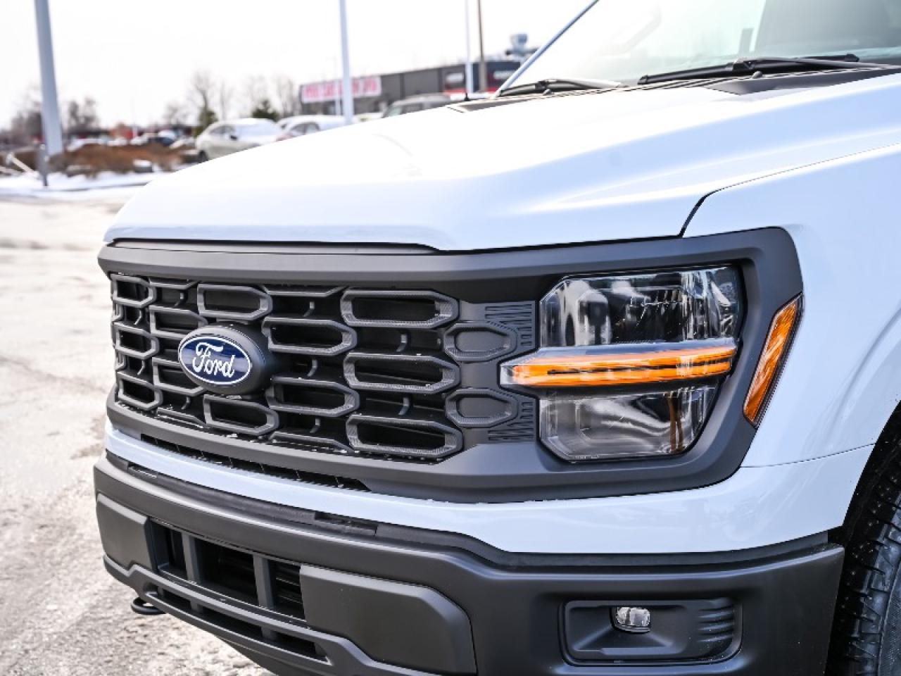 2025 Ford F-150 STX Photo