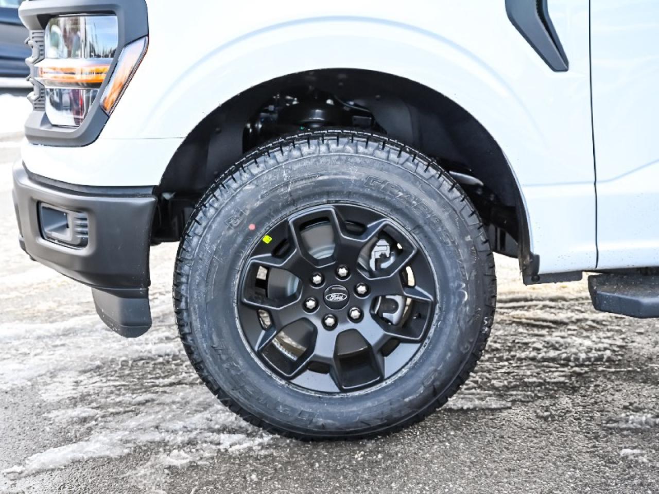 2025 Ford F-150 STX Photo