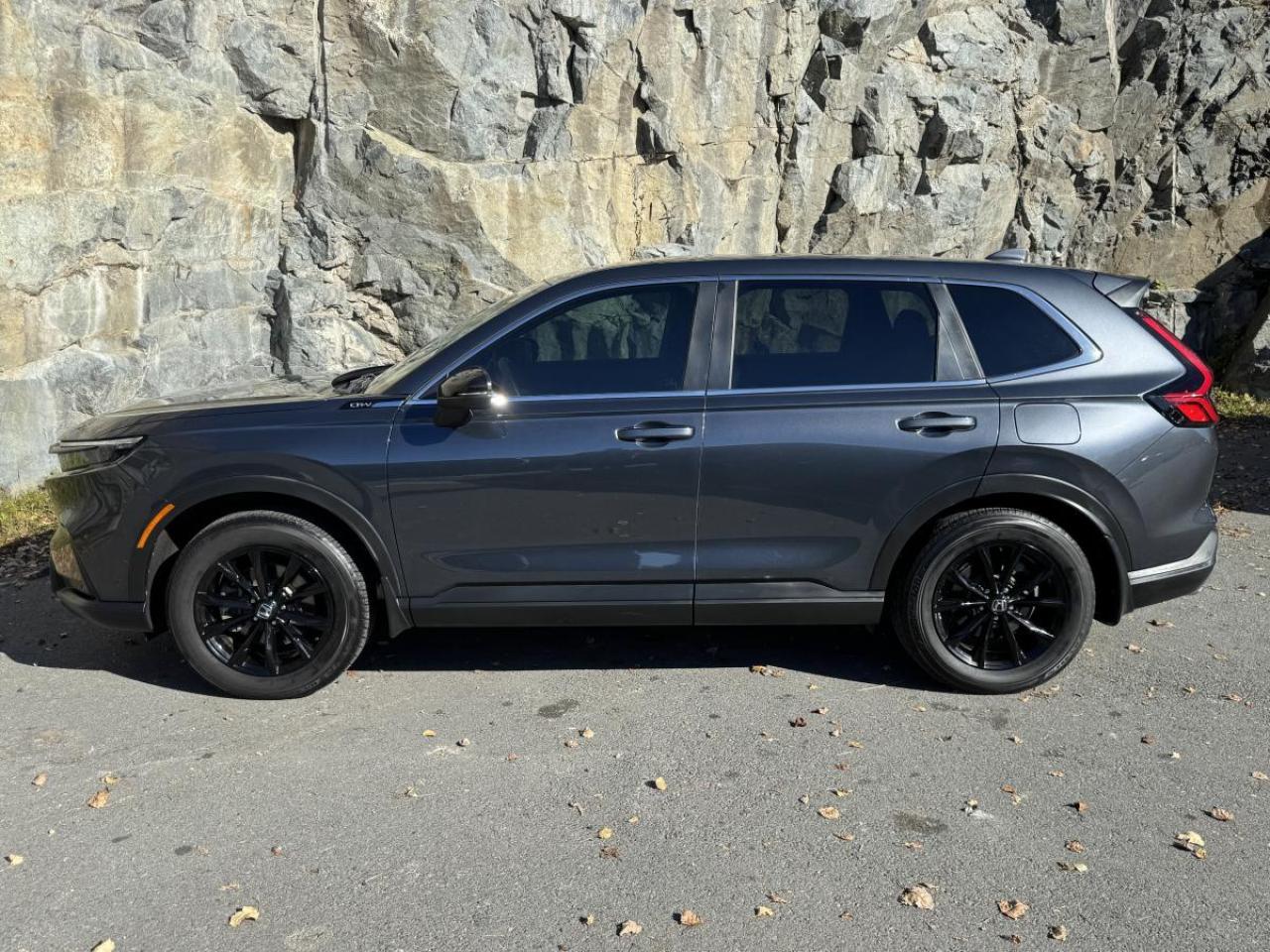 2024 Honda CR-V HYBRID EX-L AWD Photo3