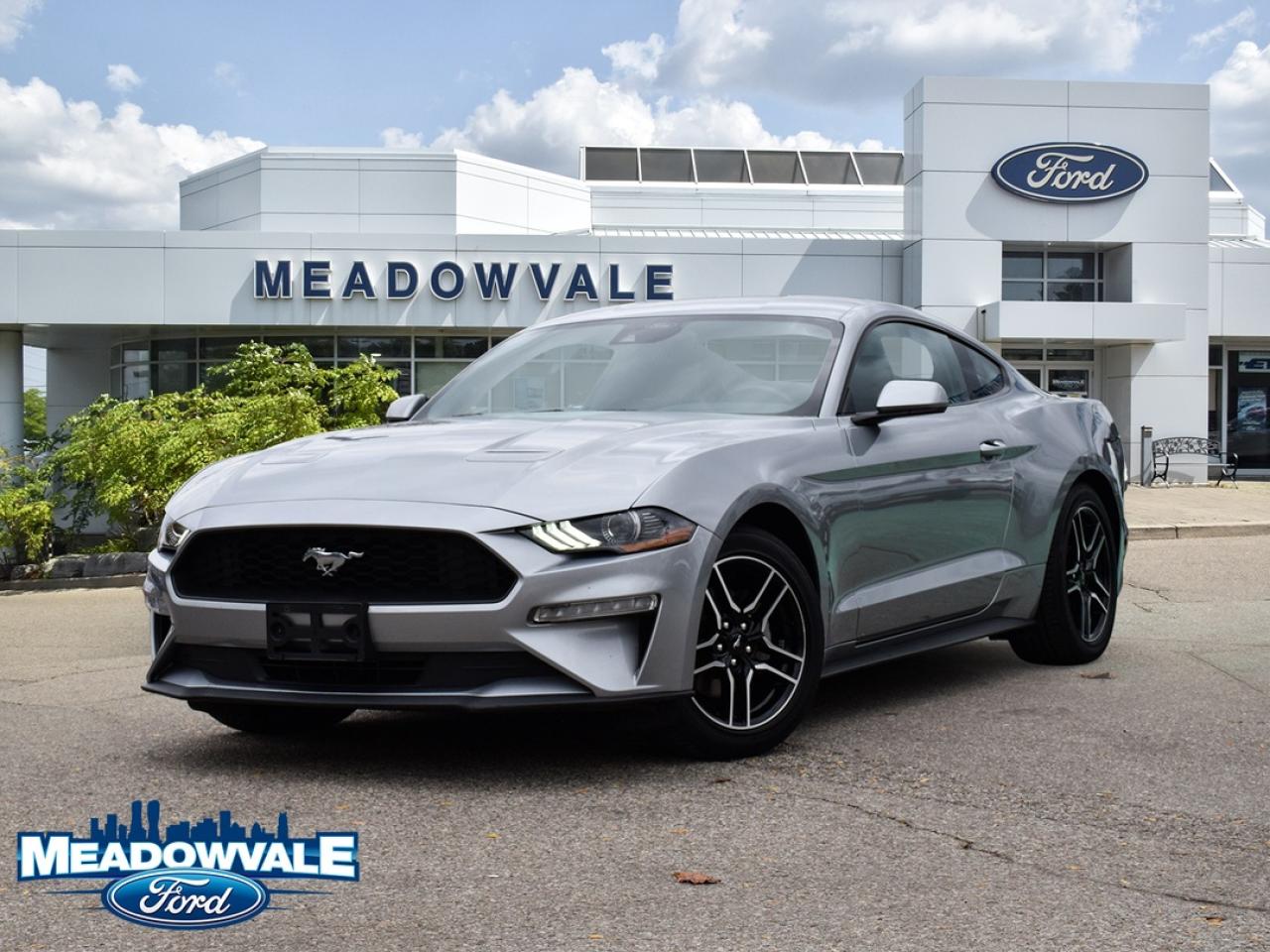 Used 2021 Ford Mustang EcoBoost for sale in Mississauga, ON