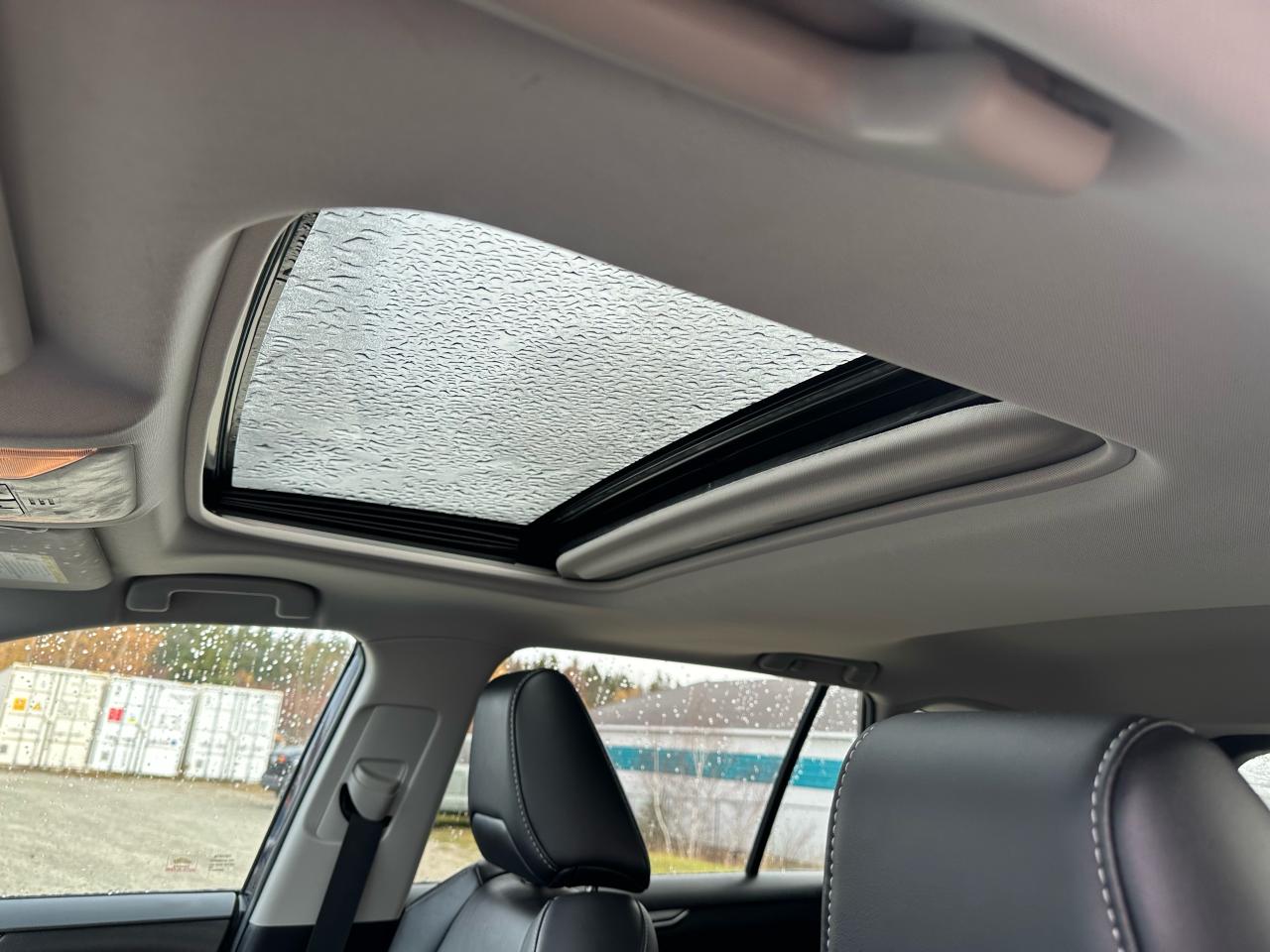 2021 Toyota RAV4  Photo