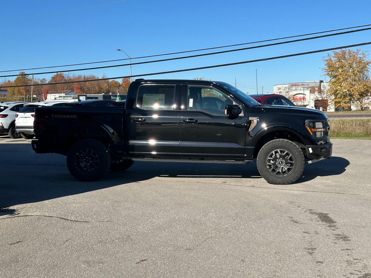 2025 Ford F-150 Tremor 4WD SuperCrew 5.5' Box Photo