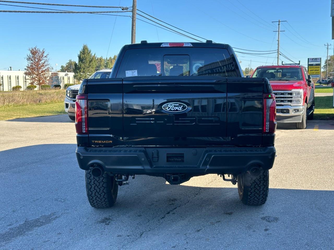 2025 Ford F-150 Tremor 4WD SuperCrew 5.5' Box Photo