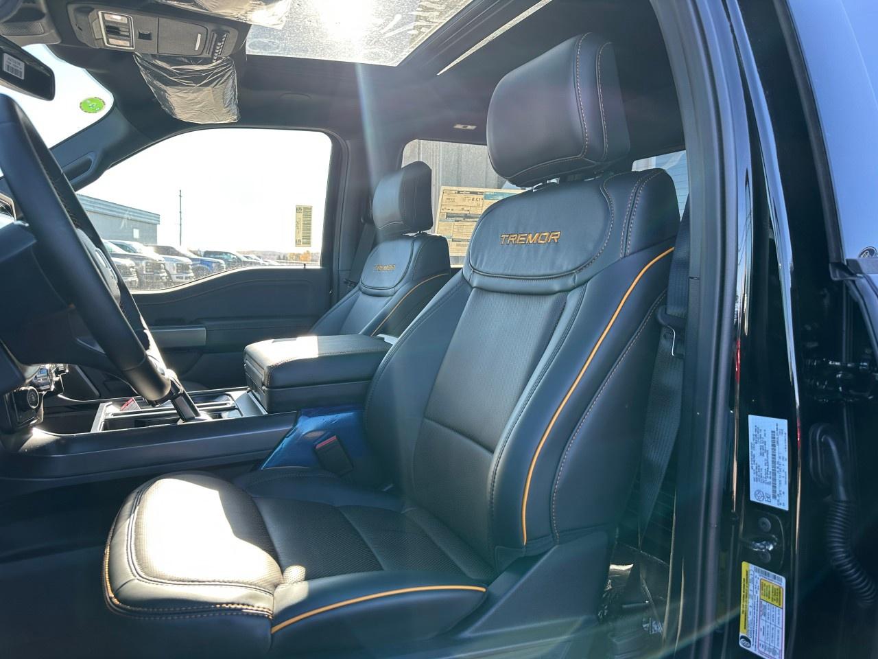 2025 Ford F-150 Tremor 4WD SuperCrew 5.5' Box Photo