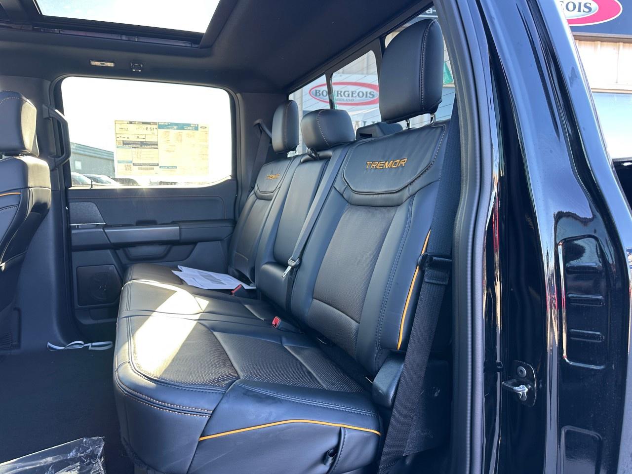 2025 Ford F-150 Tremor 4WD SuperCrew 5.5' Box Photo