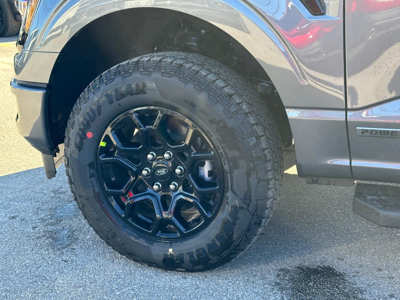 2025 Ford F-150 XLT 4WD SuperCrew 5.5' Box Photo