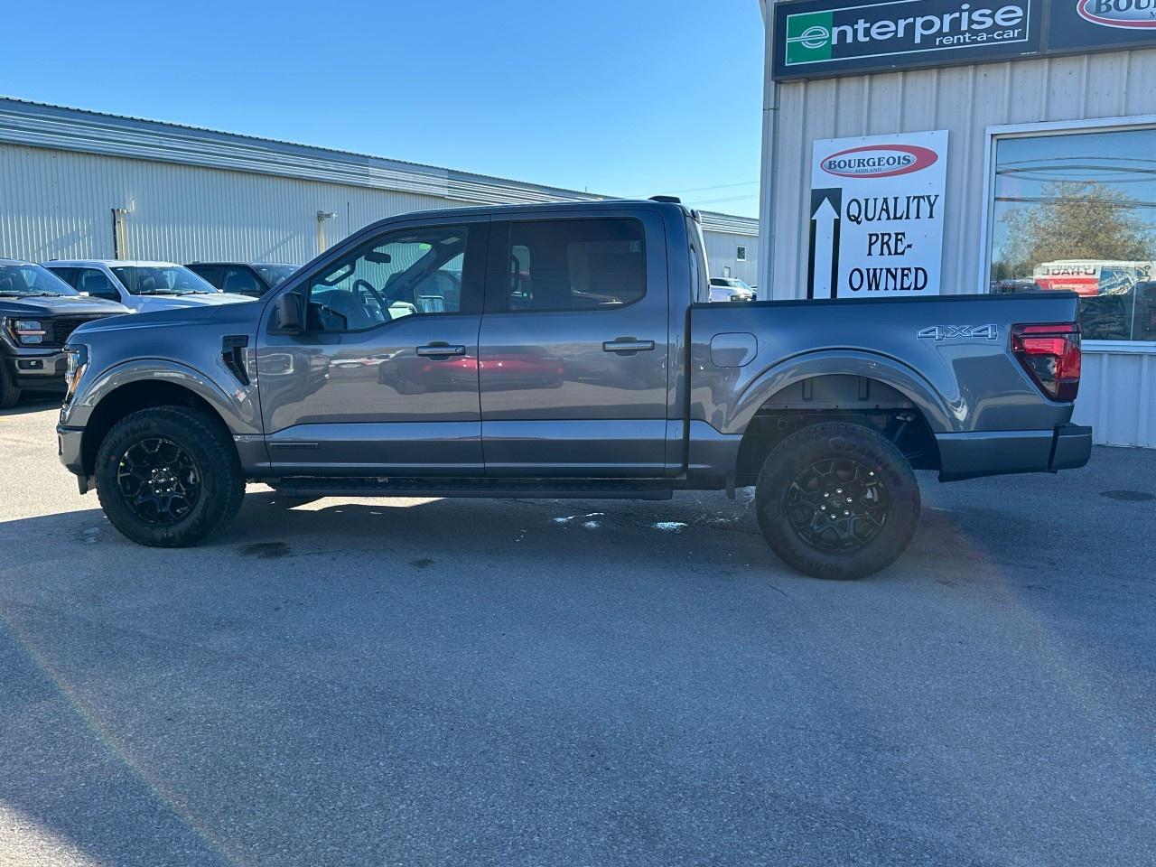 2025 Ford F-150 XLT 4WD SuperCrew 5.5' Box Photo