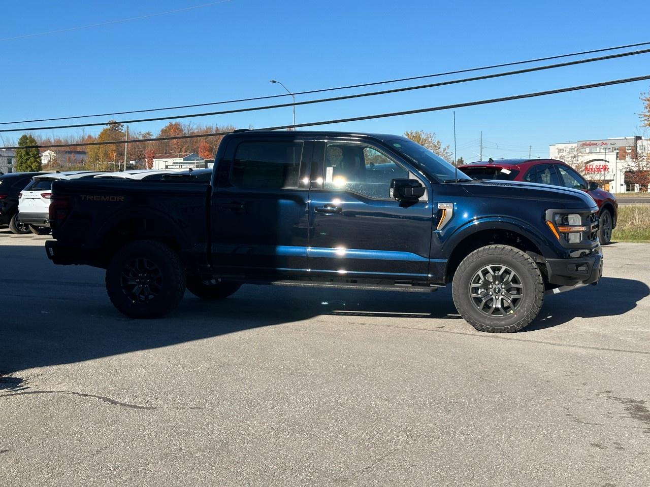 2025 Ford F-150 Tremor 4WD SuperCrew 5.5' Box Photo