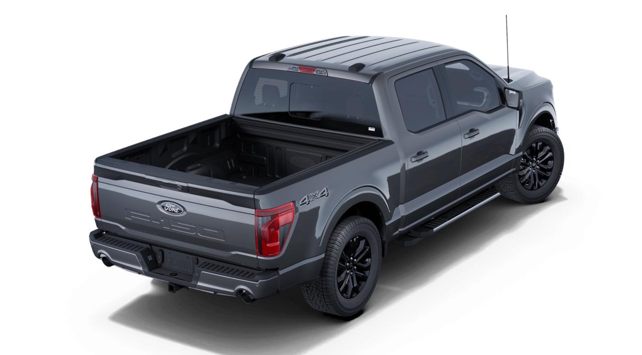 2025 Ford F-150 4X4 SUPERCREW XLT 303A Photo