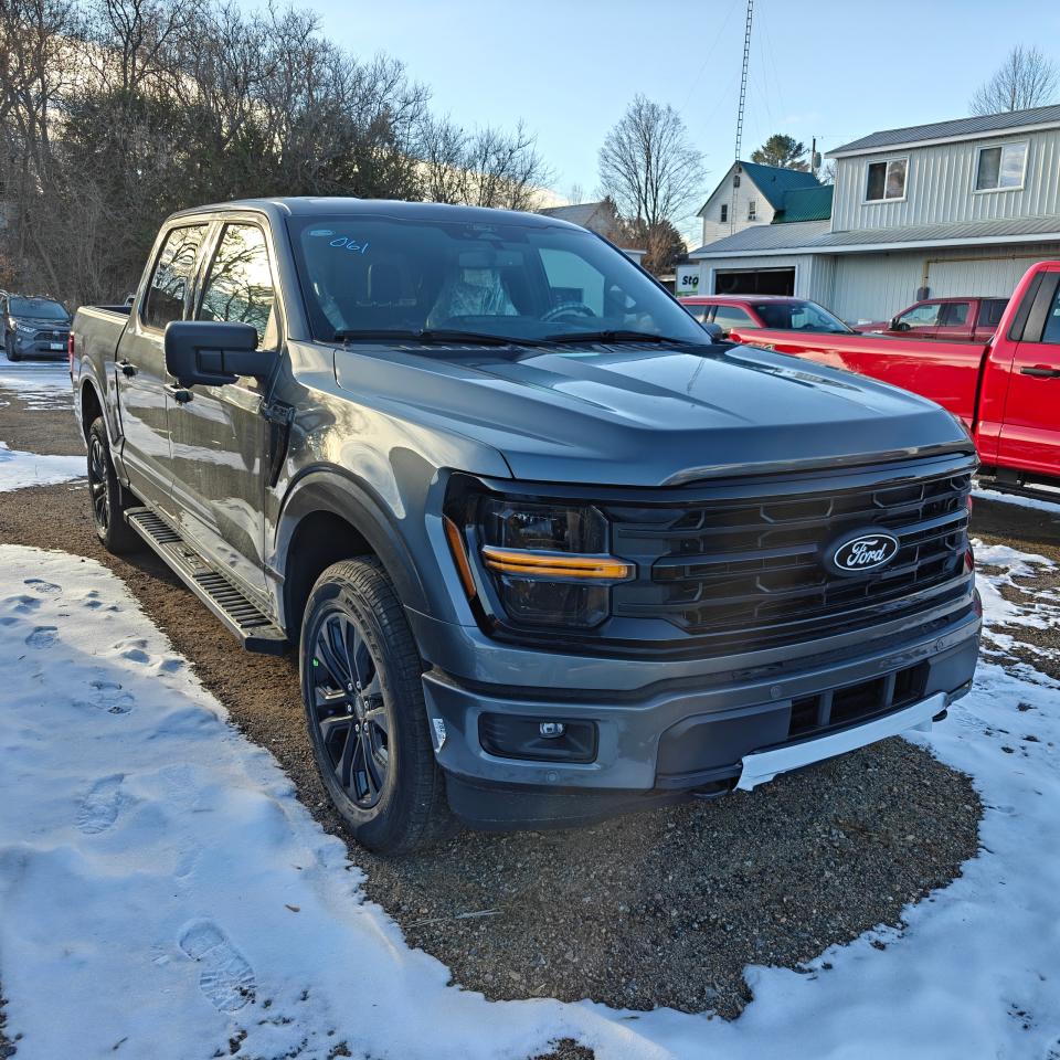 2025 Ford F-150 4X4 SUPERCREW XLT 303A Photo3
