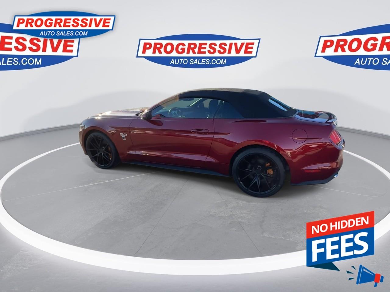 2017 Ford Mustang GT Premium Photo