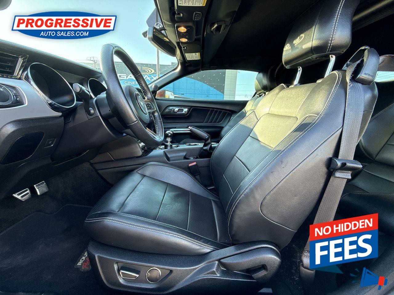 2017 Ford Mustang GT Premium Photo