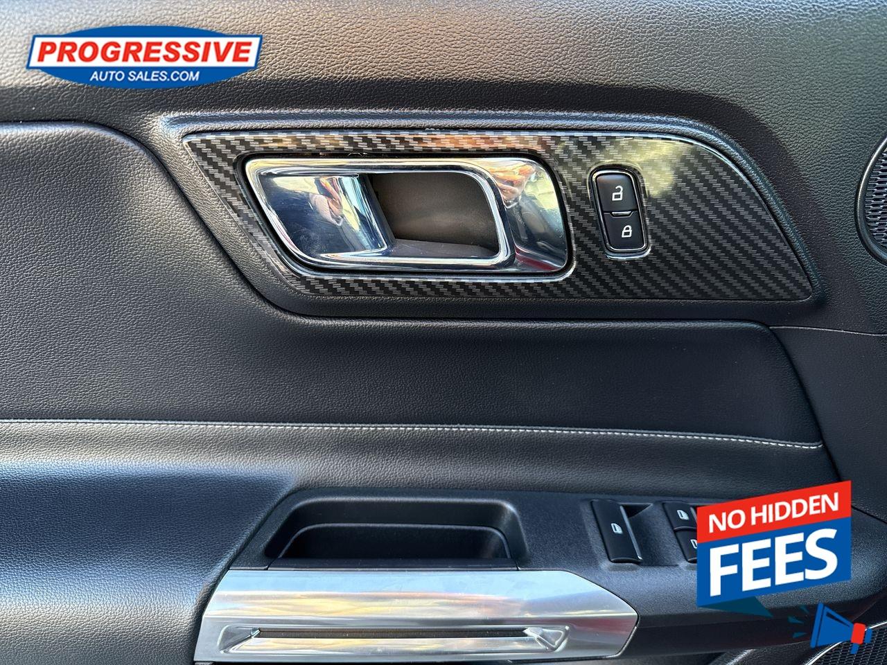 2017 Ford Mustang GT Premium Photo