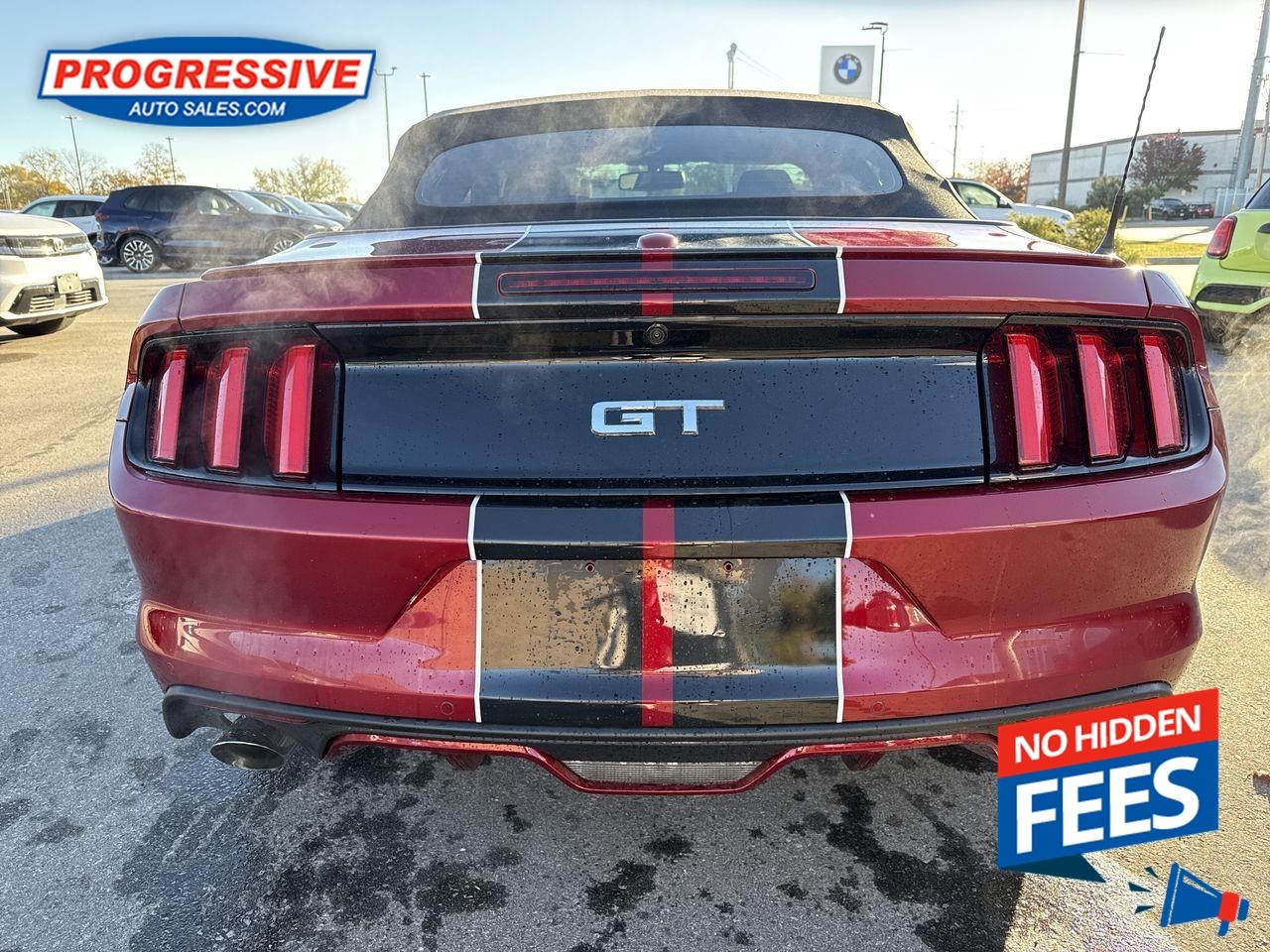 2017 Ford Mustang GT Premium Photo