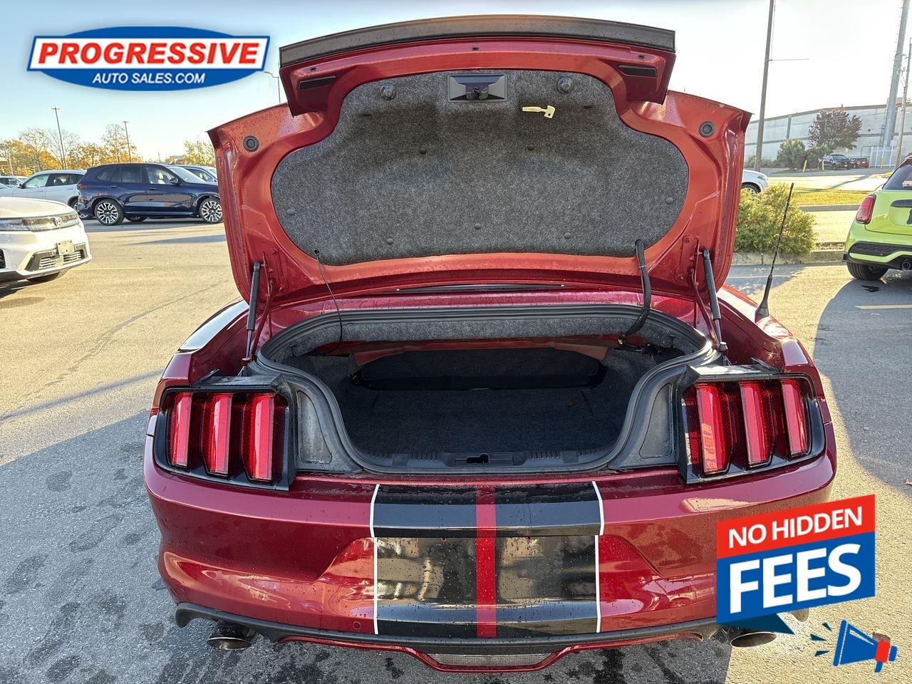 2017 Ford Mustang GT Premium Photo