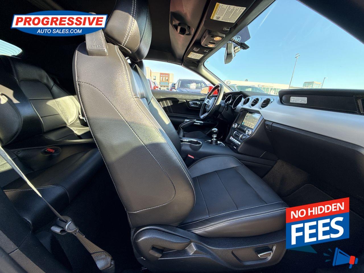 2017 Ford Mustang GT Premium Photo