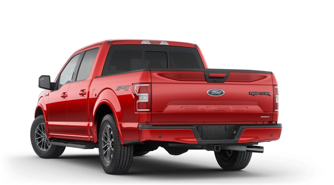 2019 Ford F-150  Photo