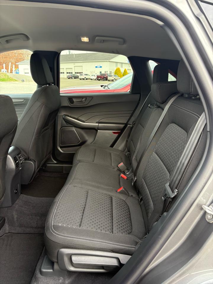 2026 Ford Escape  Photo