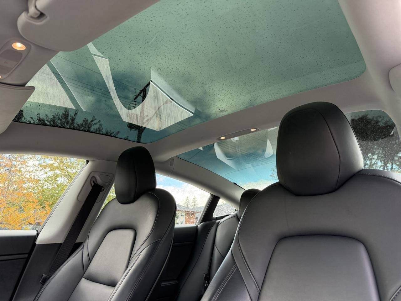 2020 Tesla Model 3 Base - Photo #11