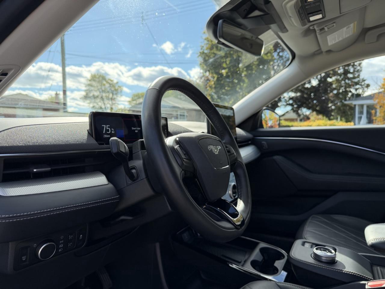 2022 Ford Mustang Mach-E Select AWD Photo